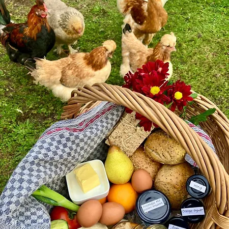 Versteck Am Hug * Jüterbog