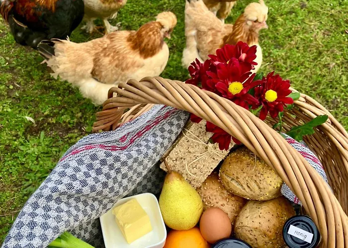 Versteck Am Hug * Jüterbog